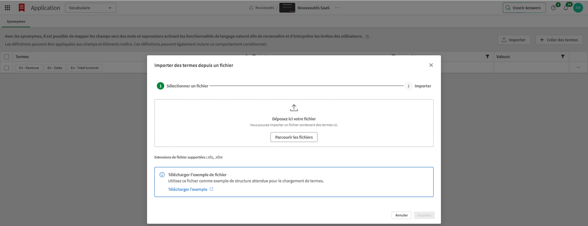Qlik Cloud Janvier 2026 - Vocabulaire